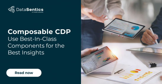 Composable CDP: Use Best-In-Class Components for the Best Insights | DataSentics