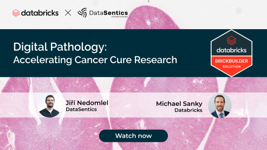 Webinar: Digital Pathology - Accelerating Cancer Cure Research | DataSentics